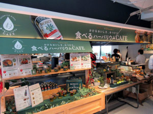 「かけるおいしさ、みつけた。食べるハーバリウムCAFE」(日清オイリオグループ/BOSCO×クラシル)